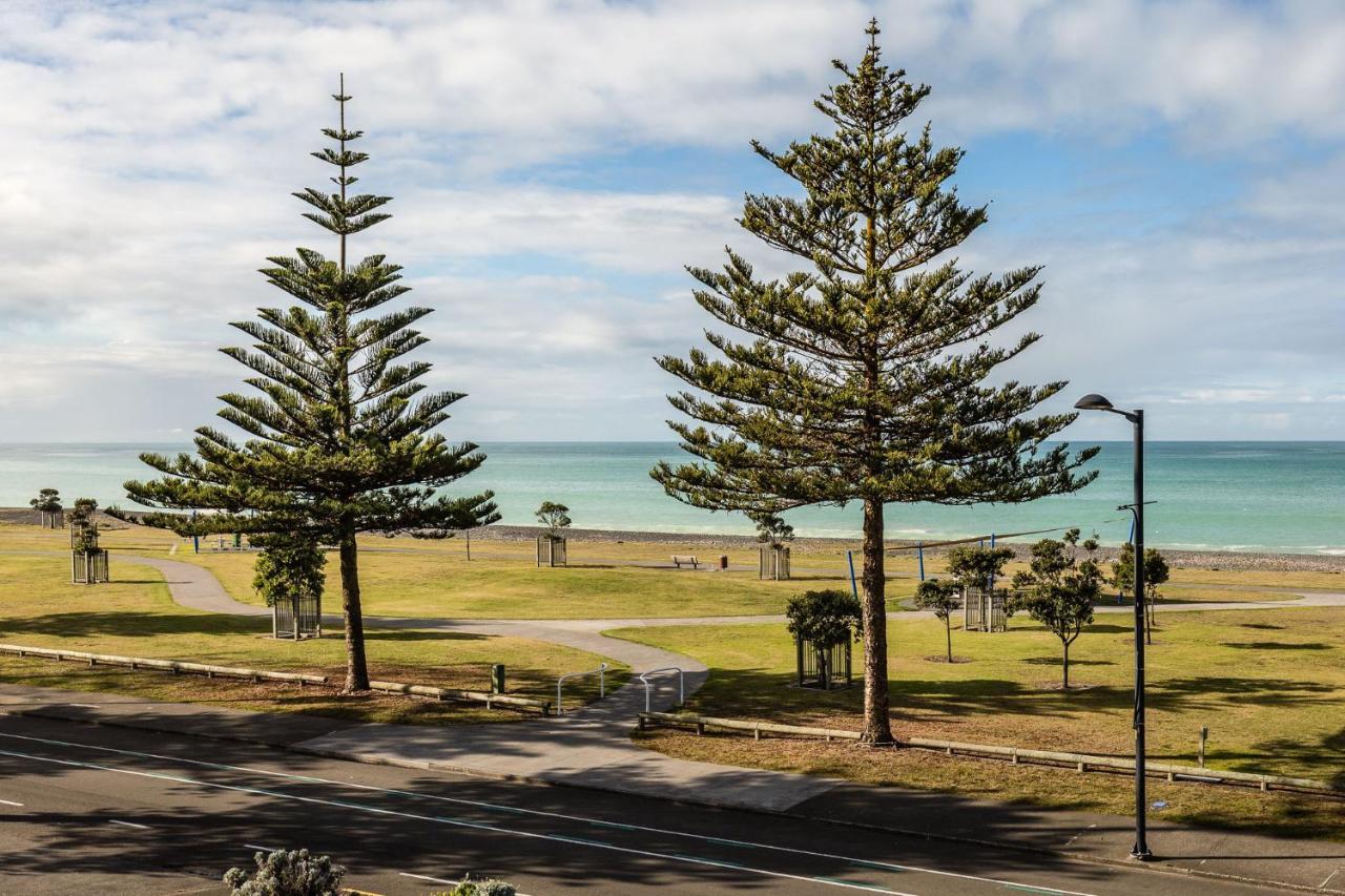 Pebble Beach Motor Inn Napier Luaran gambar Araucaria columnar